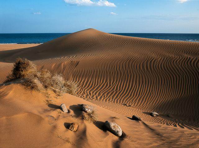 Dune Nisip Maspalomas Spania